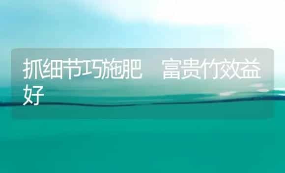 脐橙保花保果技术 | 植物科普