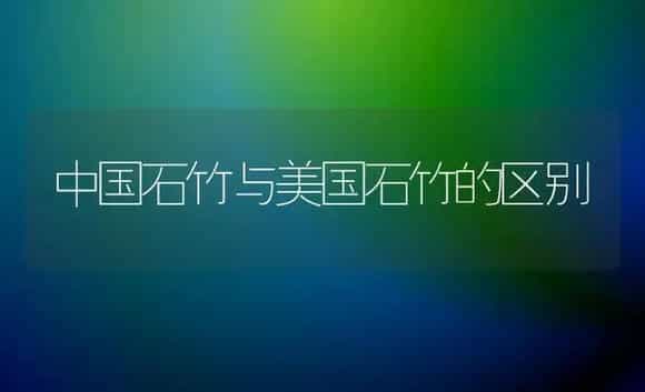 中国石竹与美国石竹的区别 | 植物科普