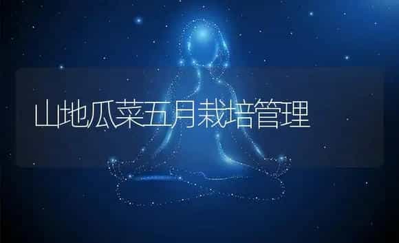 山地瓜菜五月栽培管理 | 植物百科