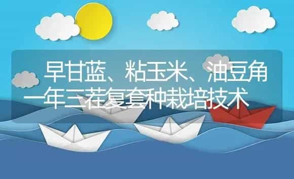  早甘蓝、粘玉米、油豆角一年三茬复套种栽培技术 | 植物资料