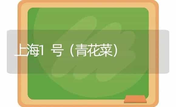 上海1号（青花菜） | 植物科普