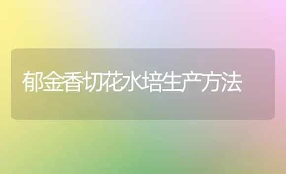 郁金香切花水培生产方法 | 植物科普
