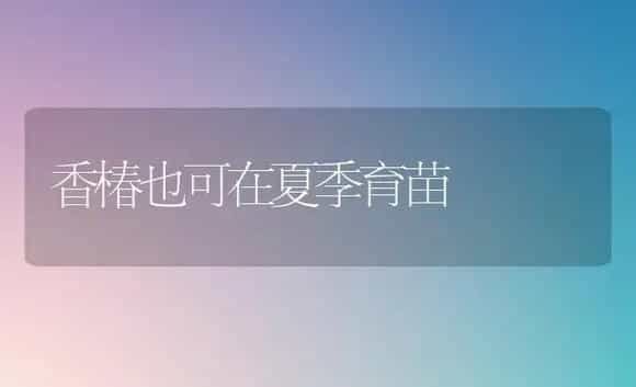 青花菜新品种：玛斯特 | 植物科普