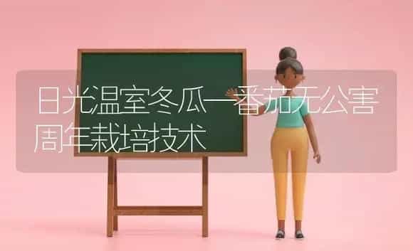 日光温室冬瓜—番茄无公害周年栽培技术 | 植物科普