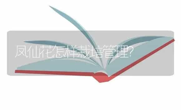 凤仙花怎样栽培管理？ | 植物知识