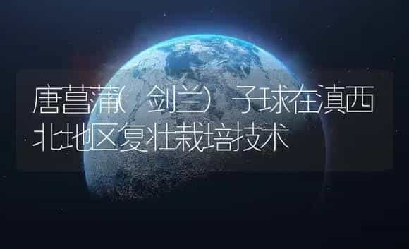 唐菖蒲(剑兰)子球在滇西北地区复壮栽培技术 | 植物知识