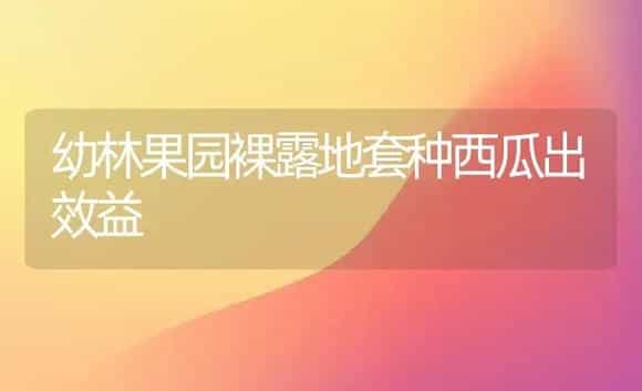 含羞草为何不开花 | 植物科普