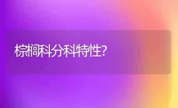 棕榈科分科特性？ | 植物问答
