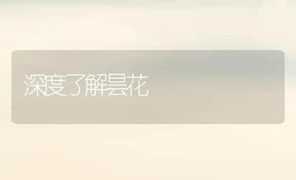 深度了解昙花 | 植物科普