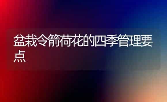 盆栽令箭荷花的四季管理要点 | 植物科普
