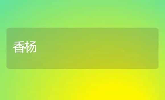 香杨 | 植物科普