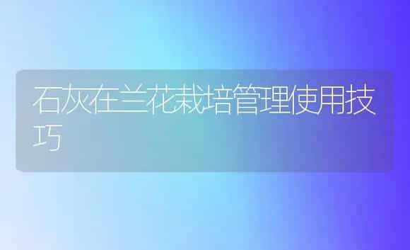 石灰在兰花栽培管理使用技巧 | 植物科普