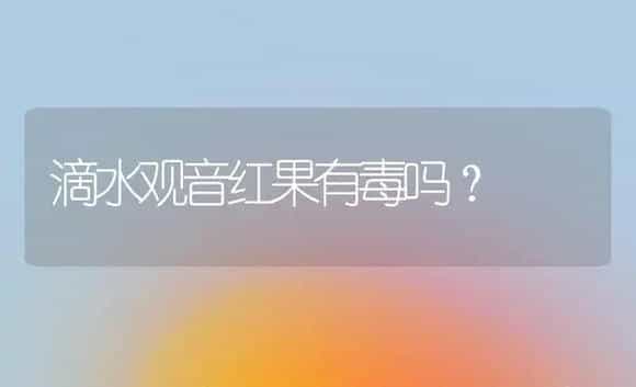 滴水观音红果有毒吗？ | 植物问答