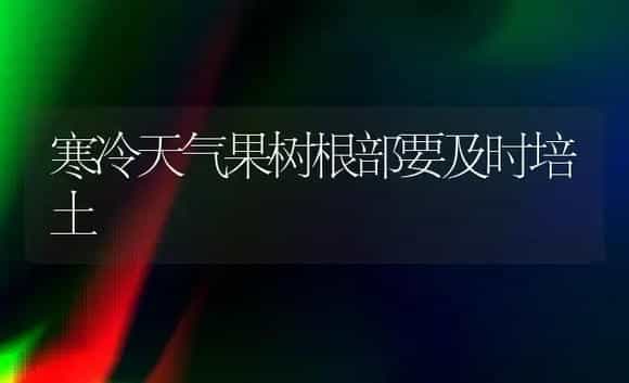 早春茬矮生菜豆栽培技术的要点 | 植物科普