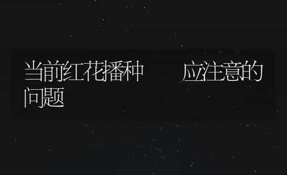 当前红花播种  应注意的问题 | 植物知识