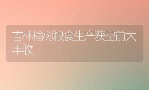 吉林榆树粮食生产获空前大丰收 | 植物科普