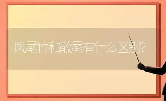凤尾竹和散尾有什么区别? | 植物问答