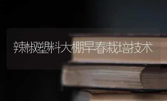 热带兰花和中国兰花有那些不同?常见的有哪几种? | 植物科普