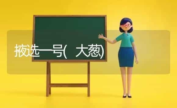 掖选一号(大葱) | 植物科普
