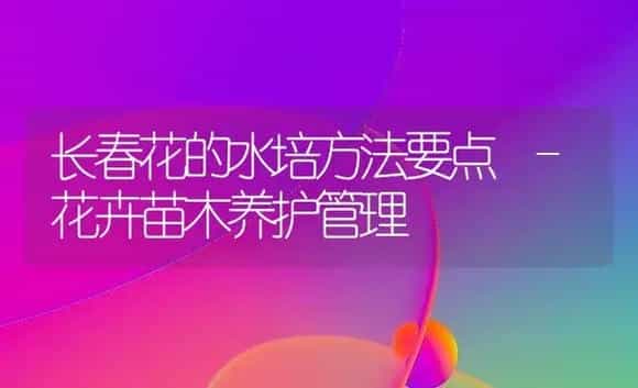 长春花的水培方法要点 -花卉苗木养护管理 | 植物科普
