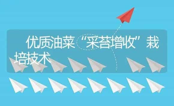  优质油菜“采苔增收”栽培技术 | 植物资料