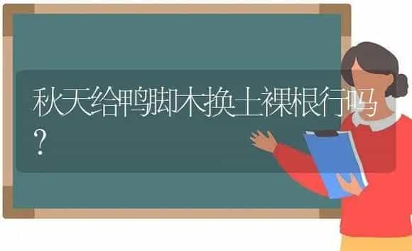 秋天给鸭脚木换土裸根行吗? | 植物问答