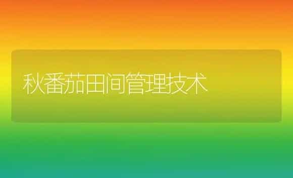 秋番茄田间管理技术 | 植物科普