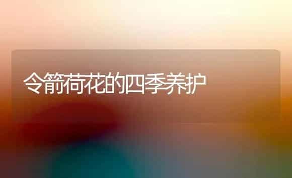 令箭荷花的四季养护 | 植物科普