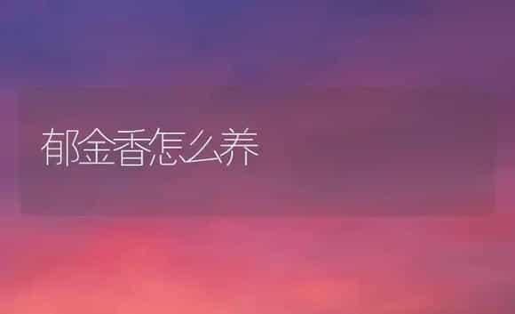 郁金香怎么养 | 植物科普