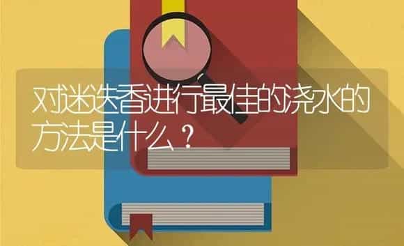 对迷迭香进行最佳的浇水的方法是什么？ | 植物问答