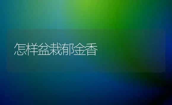 怎样盆栽郁金香 | 植物科普