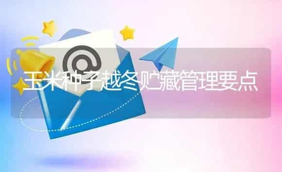 玉米种子越冬贮藏管理要点 | 植物资料
