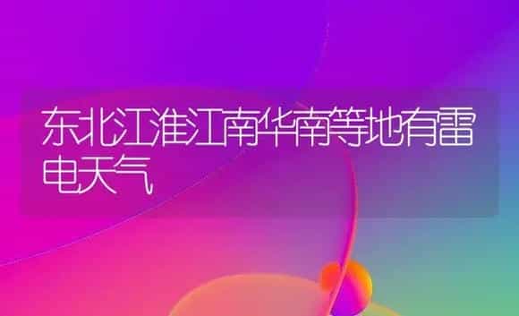 冬大葱的播种育苗技术 | 植物科普