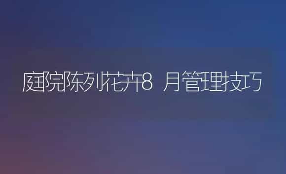 庭院陈列花卉8月管理技巧 | 植物知识