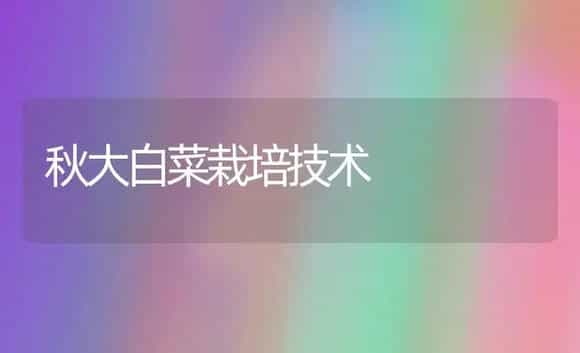 秋大白菜栽培技术 | 植物科普