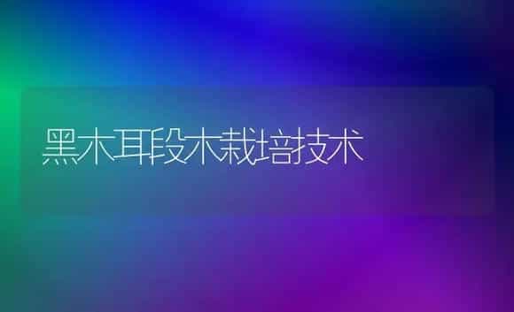黑木耳段木栽培技术 | 植物科普