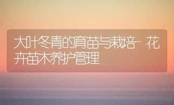 大叶冬青的育苗与栽培-花卉苗木养护管理 | 植物科普