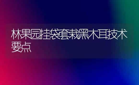 林果园挂袋套栽黑木耳技术要点 | 植物科普
