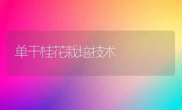单干桂花栽培技术 | 植物科普