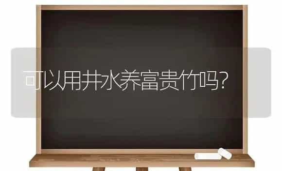 可以用井水养富贵竹吗？ | 植物问答