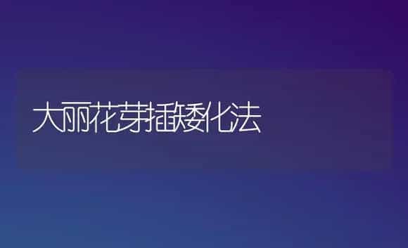 大丽花芽插矮化法 | 植物科普
