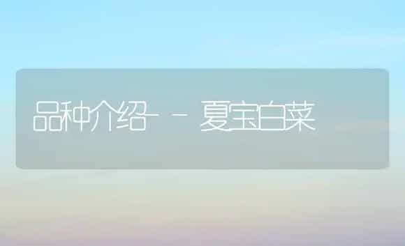 品种介绍--夏宝白菜 | 植物科普