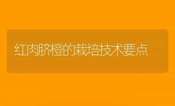 红肉脐橙的栽培技术要点 | 植物科普