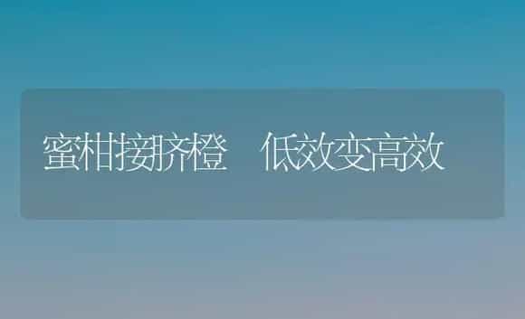 蜜柑接脐橙　低效变高效 | 植物科普
