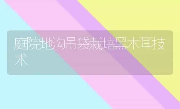 庭院地沟吊袋栽培黑木耳技术 | 植物科普