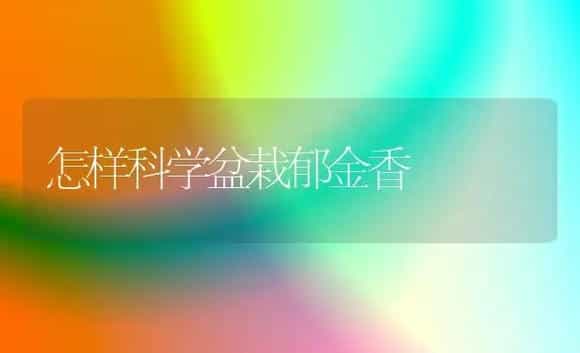 怎样科学盆栽郁金香 | 植物科普