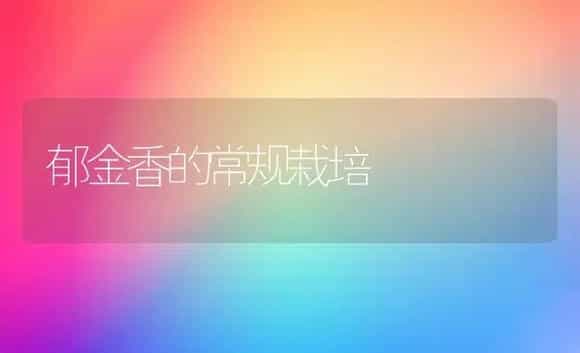 郁金香的常规栽培 | 植物科普