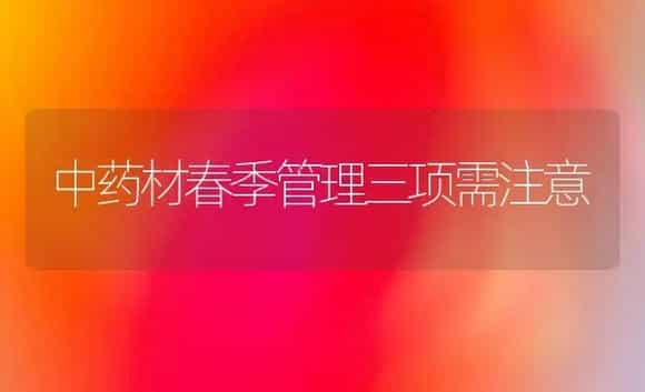 注意四点种好越冬的花菜 | 植物科普