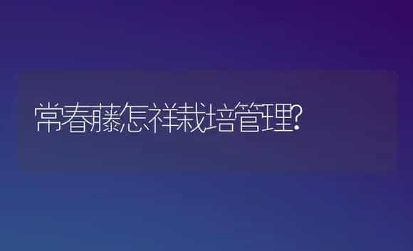 常春藤怎祥栽培管理? | 植物科普