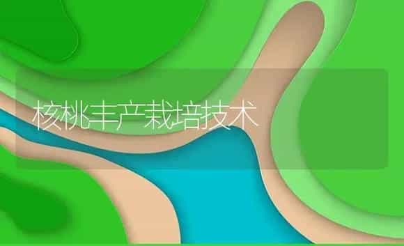 核桃丰产栽培技术 | 植物资料